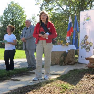 Mlinarjeva pot 14.09.2013 2